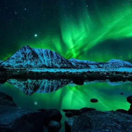 A Pearl In Lofoten Leknes Exteriör bild