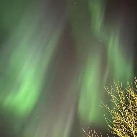 A Pearl In Lofoten Leknes Exteriör bild