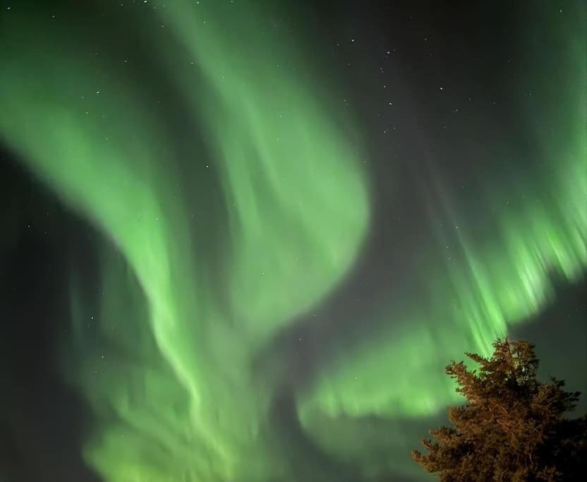 A Pearl In Lofoten *