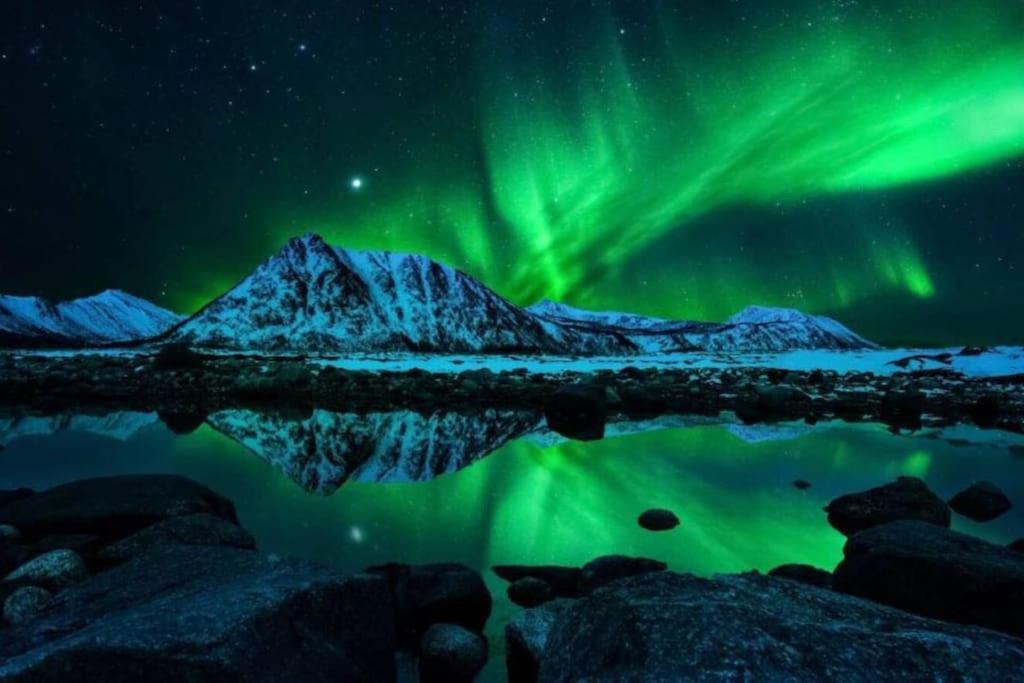 A Pearl In Lofoten Holiday home