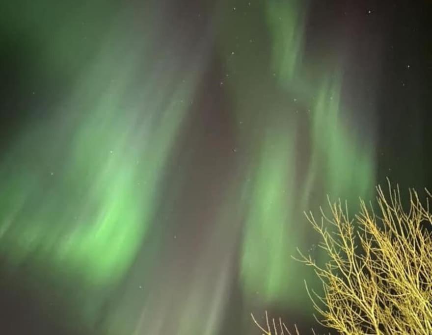 A Pearl In Lofoten *